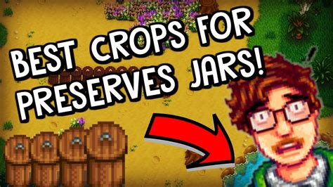 best crops for preserves jar stardew valley|stardew valley preserve jars reviews.